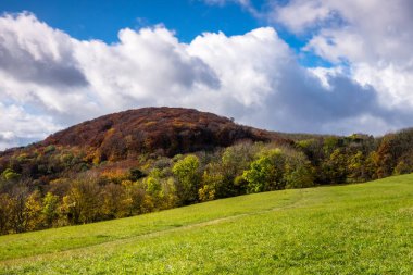 Peyzaj Sonbahar, orman ile dağ silsilesi içinde renkli yaprak döken ağaçlar