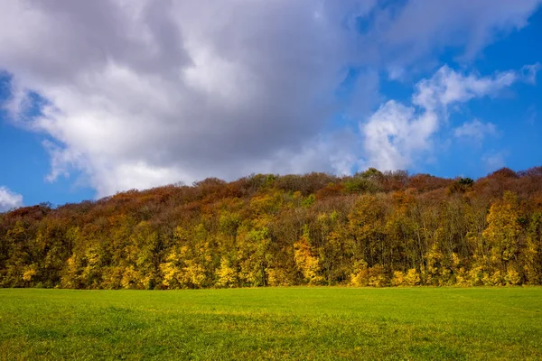 山地のカラフルな落葉樹の森林風景秋 — ストック写真