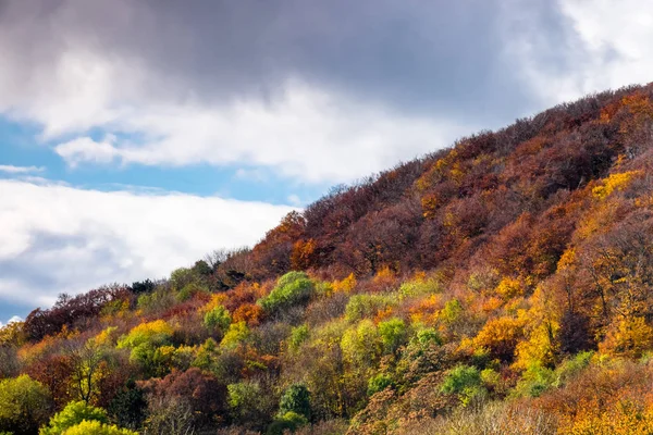 Paisaje Otoño Bosque Con Árboles Caducifolios Colores Cordillera —  Fotos de Stock