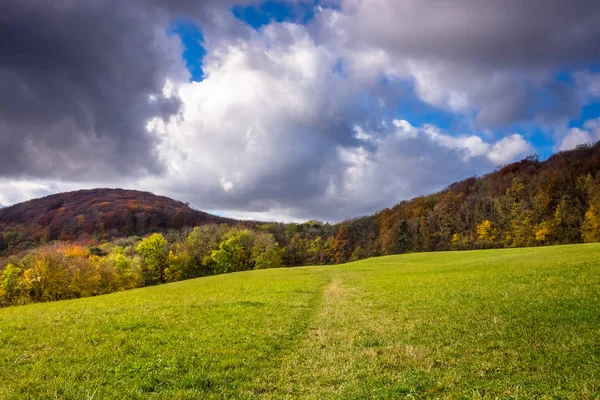 Landschaft Herbst Wald Mit Bunten Laubbäumen Gebirge — Stockfoto