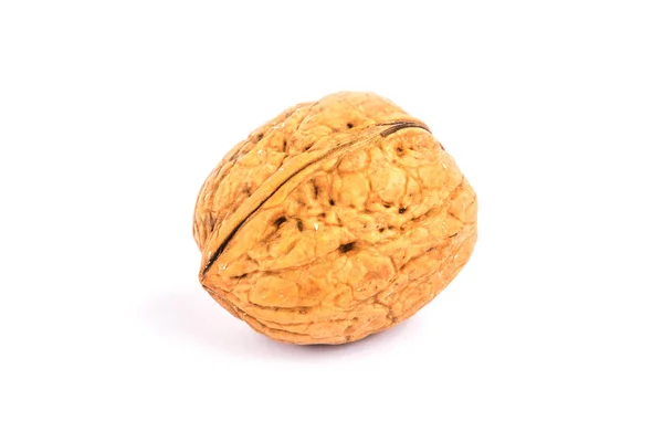 Walnut Close Nut Nutshell White Background — Stock Photo, Image