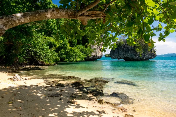 Krabi Adası Tayland
