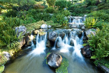 Japon bahçe şelale, su akan ile botanik peyzaj