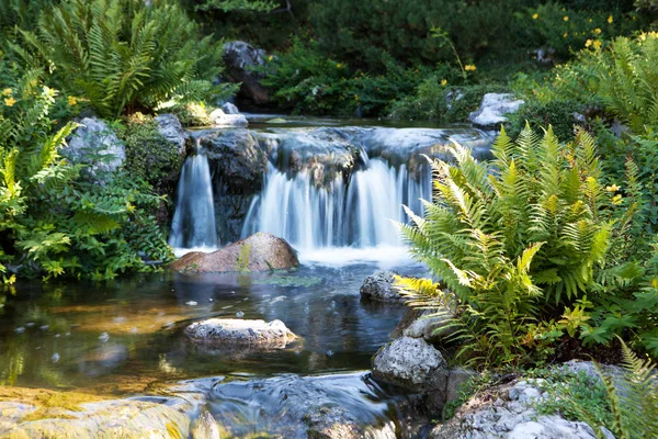 Japon bahçe şelale, su akan ile botanik peyzaj