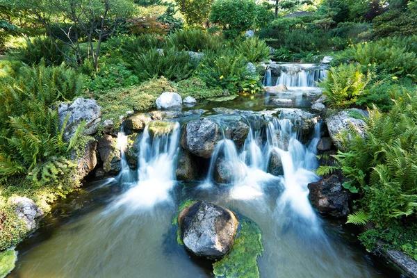 Japon bahçe şelale, su akan ile botanik peyzaj