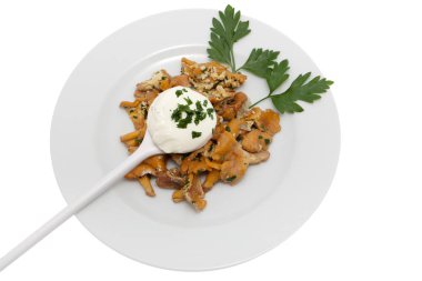 Mantar yemekle chanterelles, vejetaryen yemeği maydanoz ile