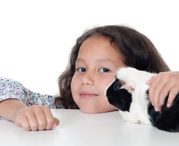 Menina Bonita Com Cobaia Criança Segurar Animal Doméstico Antes Fundo — Fotografia de Stock