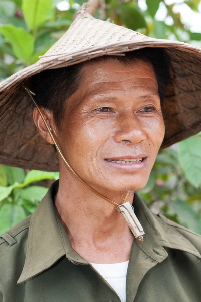 Geleneksel Vietnam şapka ile dostça Asya portresi