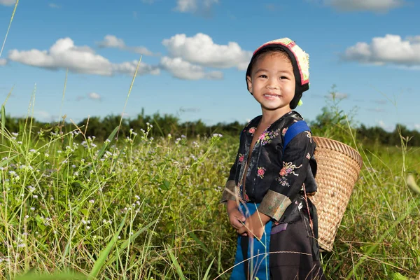 Asijská Dívka Hmong Rýžové Pole Tradičních Lidových Krojích — Stock fotografie