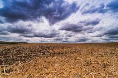 Tarım ile dramatik gökyüzü manzara, cumulus bulutları biçilmis alanıyla