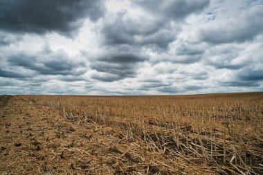 Tarım ile dramatik gökyüzü manzara, cumulus bulutları biçilmis alanıyla