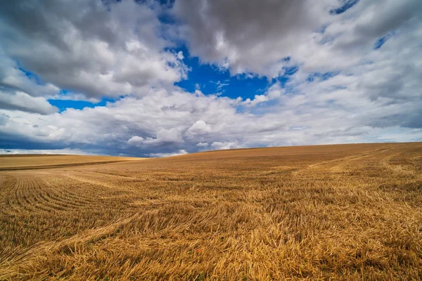 Agrarlandschaft Mit Dramatischem Himmel Gemähtes Feld Mit Kumuluswolken — Stockfoto