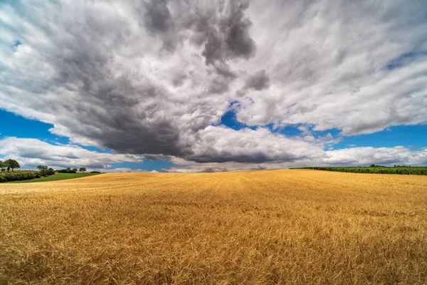 Agrarlandschaft Mit Dramatischem Himmel Feld Mit Himmel Und Wolken — Stockfoto