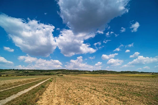 Γεωργία Τοπίο Σύννεφα Cumulus Αγροτική Σκηνή Αμπελώνες Στο Παρασκήνιο — Φωτογραφία Αρχείου