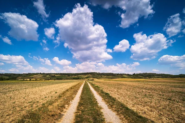 Agrarlandschaft Mit Kumuluswolken Ländliche Szenerie Mit Weinbergen Hintergrund — Stockfoto