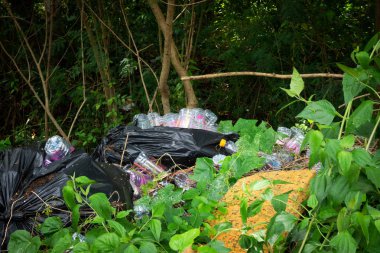 doğal afet ormandaki atılan plastiktir