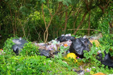 doğal afet ormandaki atılan plastiktir