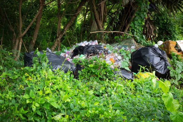 Weggeworfenes Plastik Wald Ist Naturkatastrophe — Stockfoto