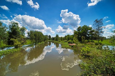Durgun su kümülüs bulutlarıyla gökyüzünü yansıtır.