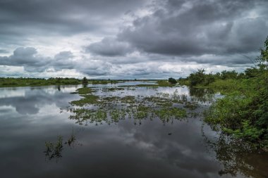 Durgun su ve kümülüs bulutlarıyla manzara