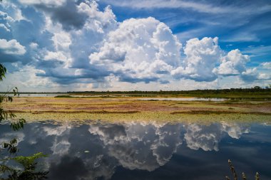 Durgun su ve kümülüs bulutlarıyla manzara
