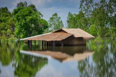 Tayland'da konut bina tarafından aşırı yağışlı hava su bastı