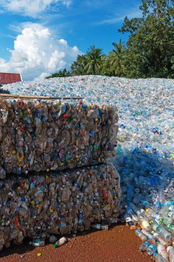 Ban gübre, Tayland - 4 Eylül 2018: depolama geri dönüşüm kullanılan plastik şişe. Plastik şişe yeni plastik maddeler erimiş toplanır.