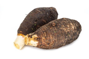 Beyaz arka planda, Taro kök sebze yakın çekim