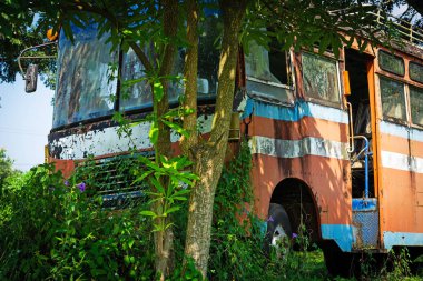 Otobüs kazası içinde Nature, hurda metal bitkiler ile