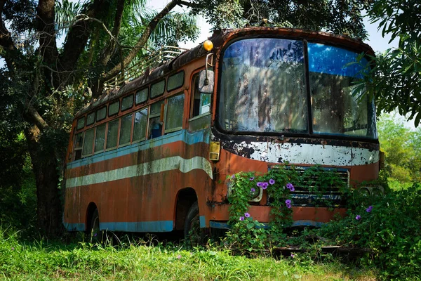 Otobüs kazası içinde Nature, hurda metal bitkiler ile