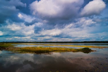 Yansıma Gölü ile Cumulus bulutları, ayakta su ile pastoral manzara