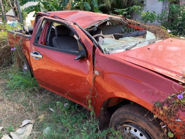 Araba Enkazı Çevre Felaketi, bitkileri olan hasarlı araba