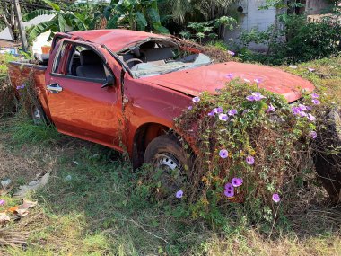 Araba Enkazı Çevre Felaketi, bitkileri olan hasarlı araba