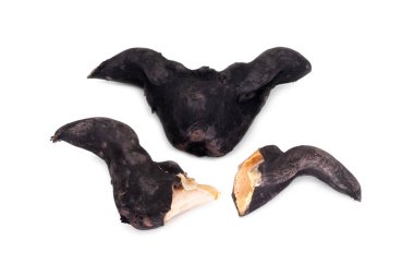 Boğadikeni su, siyah baffalo boynuz ceviz beyaz arka plan üzerinde Kapat