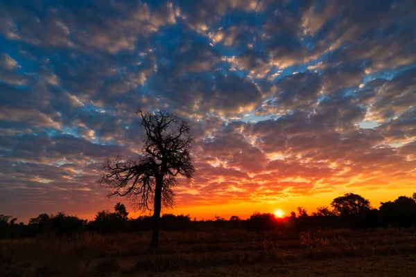 Sunrise Landscape — Stock Photo, Image