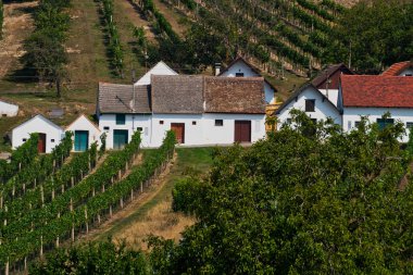 Şarap Yolu Avusturya