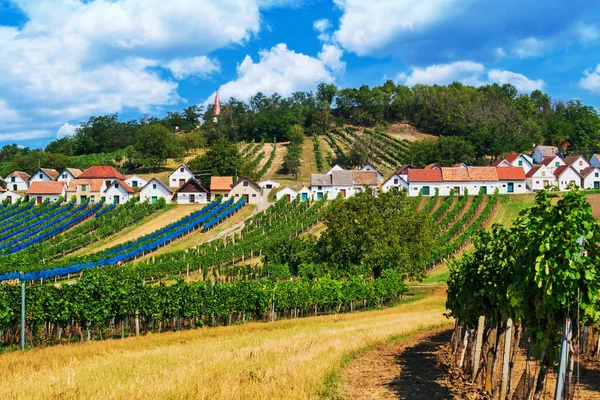 Şarap Yolu Avusturya