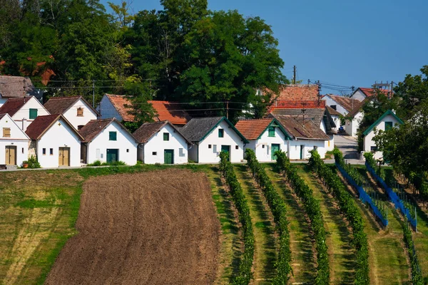 Ruta del Vino Austria — Foto de Stock