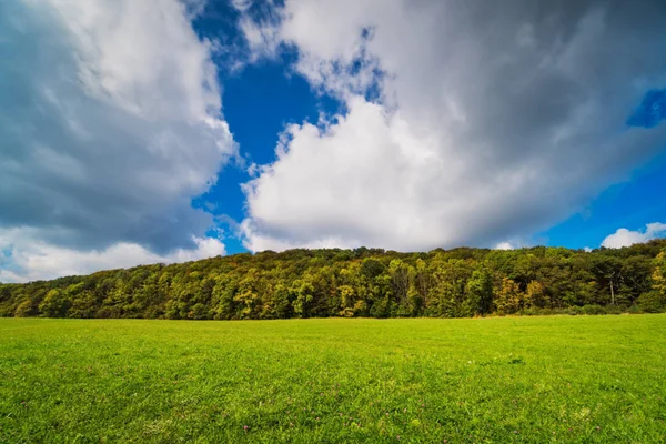 Herbstliche Waldlandschaft — Stockfoto