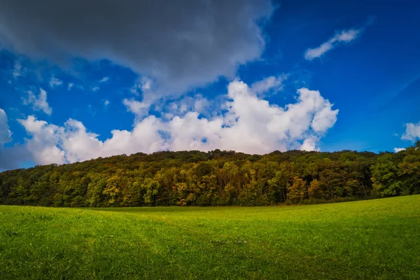 Herbstliche Waldlandschaft — Stockfoto