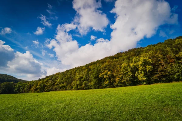 Herbstliche Waldlandschaft — Stockfoto