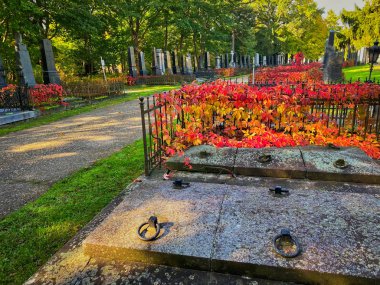 Viyanalı Zentralfriedhof