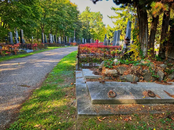 Zentralfriedhof维也纳 — 图库照片