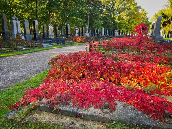 Zentralfriedhof Vienna Stock Picture