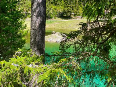 Yeşil Göl Avusturya 'da Benç Dağlarda eriyen su