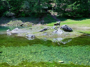 Yeşil Göl Avusturya 'da Benç Dağlarda eriyen su