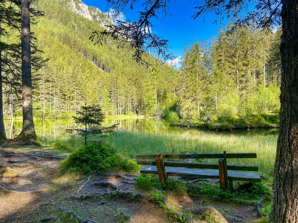 Скамейка Зеленом Озере Австрии Тающая Вода Горах — стоковое фото