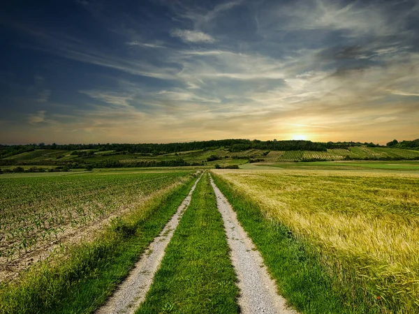 Landwirtschaft Country Road Schöne Landschaft Mit Himmel Und Wolken — Stockfoto