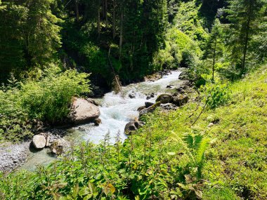 Dağ Akıntısı Avrupa Alpleri, Habachtal, Salzburger Diyarı 'ndaki Habachtal nehrinin güzel manzarası