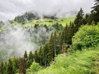 Dağ Sabahı Sisi, ormanlı ve yüksek evli manzara